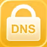 DNSecure icon