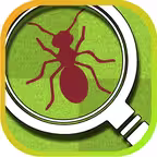 Tappy Ants iOS Icon