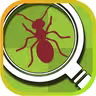 Tappy Ants icon