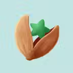 开星果家庭版 iOS Icon