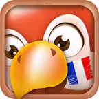Learn French Phrases & Words iOS Icon