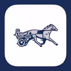 Off and Pacing: Horse Racing Icon