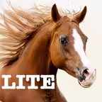 Horse Jigsaw Puzzle Games iOS Icon