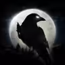 NIGHT CROWS icon